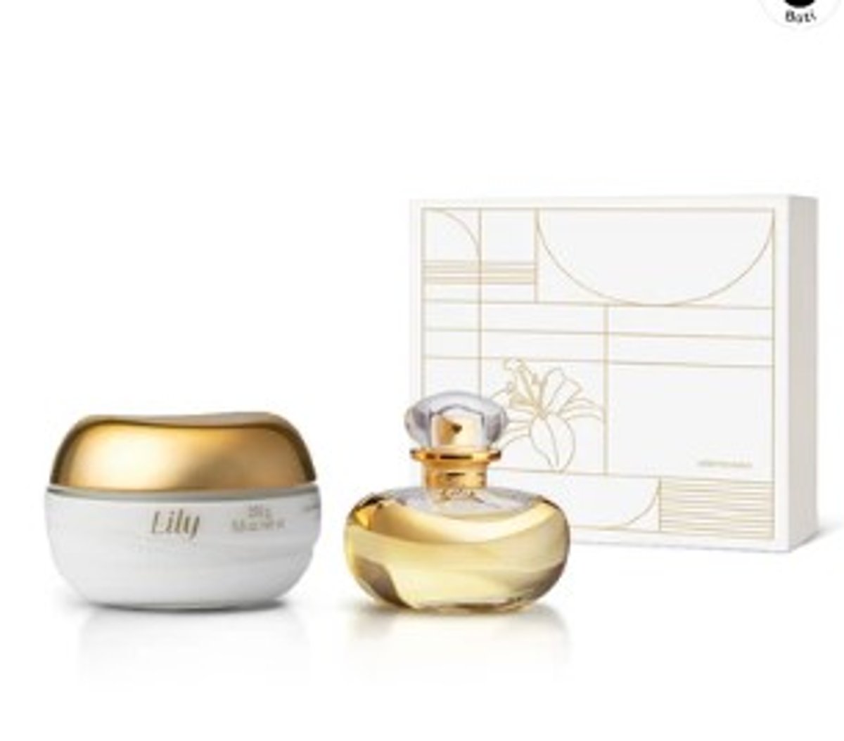 Kit Lily Regular